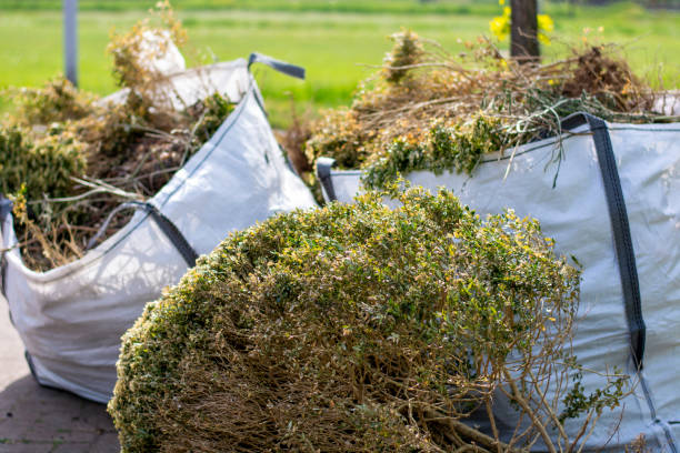Professional Junk Removal in Clawson, MI