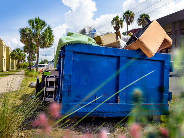 Best Basement Cleanout Services  in Clawson, MI